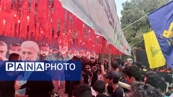 جاماندگان اربعین سفر به کربلا با دل و جان 