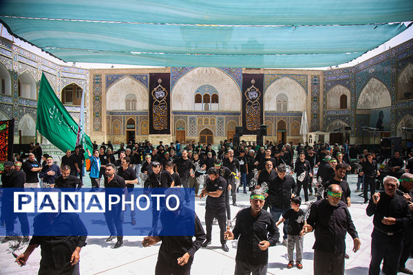 جلوهایی از عزاداری روز تاسوعا در حرم حضرت معصومه(س)