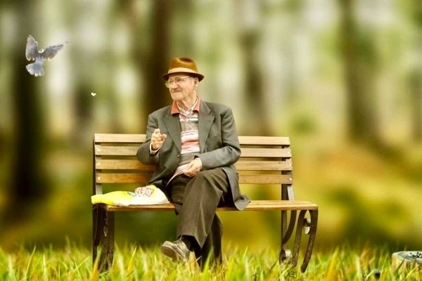 بازنشستگان از مزایای دولتی بیشتری برخوردار شوند