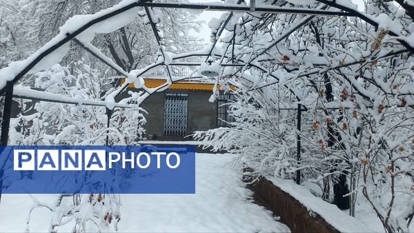 بارش برف در ارتفاعات شاندیز