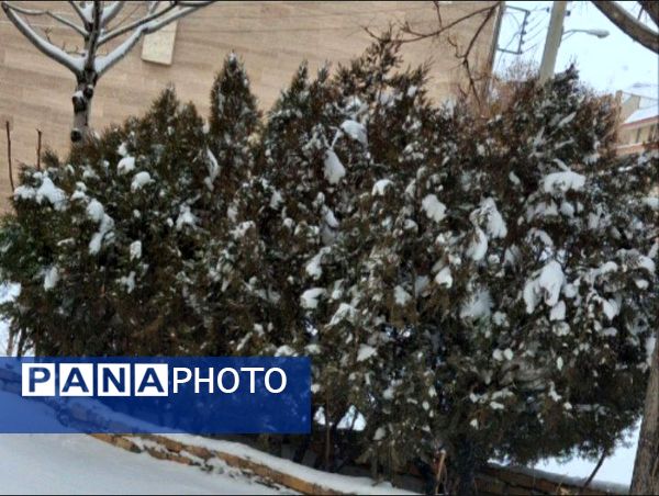 برف زمستانی، مهمان شهرستان کیار