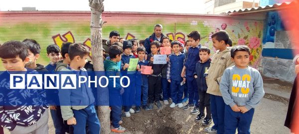کاشت نهال در دبستان پسرانه مبین شیروان