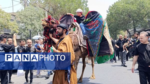 دارالشهدای تهران در سوگ سیدالشهدا(ع) به عزا نشست