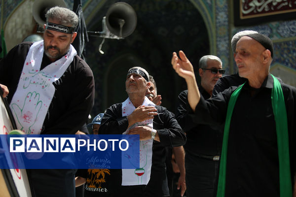 جلوهایی از عزاداری روز تاسوعا در حرم حضرت معصومه(س)