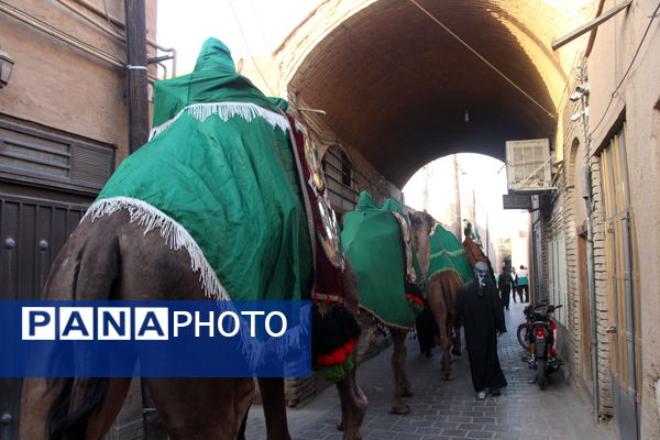 کاروان نمادین حضور امام رضا (ع) در یزد