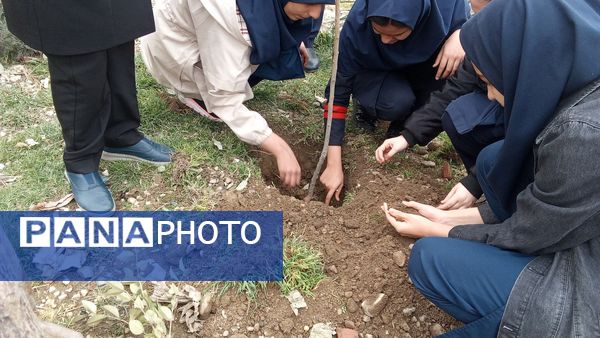 دانش‌آموزان و مسئولین شهرستان ملارد، در روز درختکاری جوانه‌های امید را به زمین هدیه دادند