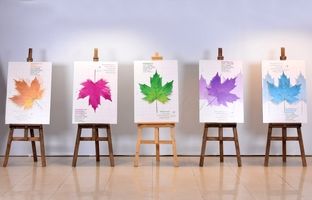 پوستر چهل و دومین جشنواره بین‌المللی فیلم کوتاه تهران رونمایی شد