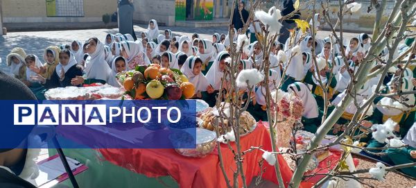 در پاسداشت فرهنگ کهن ایرانی؛ یلدا