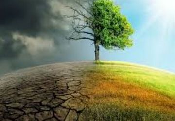 محیط زیست در خطر است