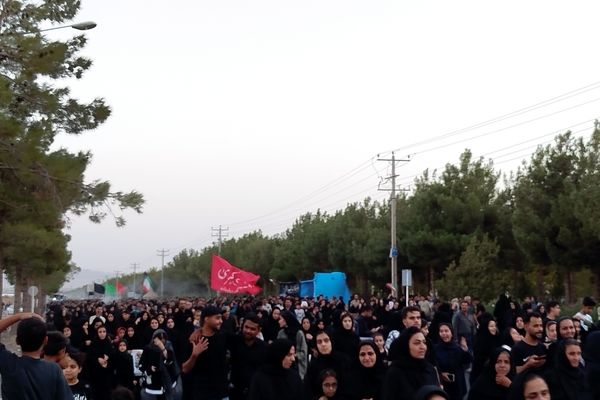 دلنوشته خبرنگارپانا به مناسبت روز اربعین