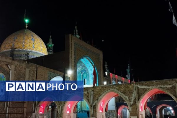 مجمع جهانی خادمان حضرت رقیه (س) در مشهد اردهال