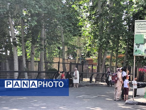 بازدید از باغ وحش ارم ،تجربه‌ای بی‌نظیر در دنیای شگفت‌انگیز حیوانات 