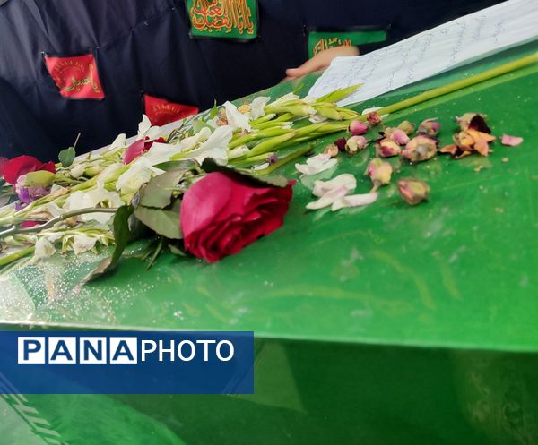 بازگشت قهرمان خاموش؛ شهر در آغوش شهید گمنام