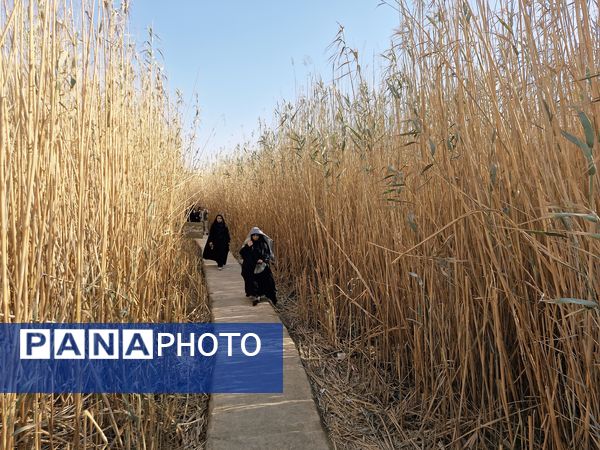 قدم بر خاک عشق