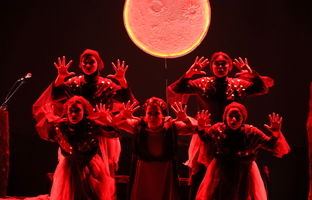  نمایش «شبی که باد در شاخ‌هایم پیچید» حاصل عشق، همدلی و تلاش بی‌وقفه یک تیم جوان بود