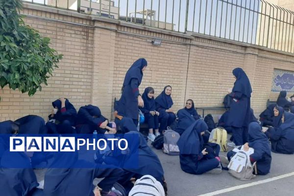 تضمین نشاط هفته با یک لقمه سلامتی