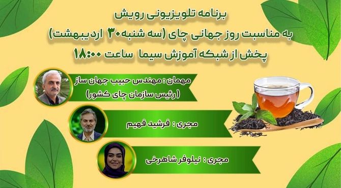 برنامه‌ای به طعم چای؛ بررسی ظرفیت‌های چای کشور در شبکه آموزش