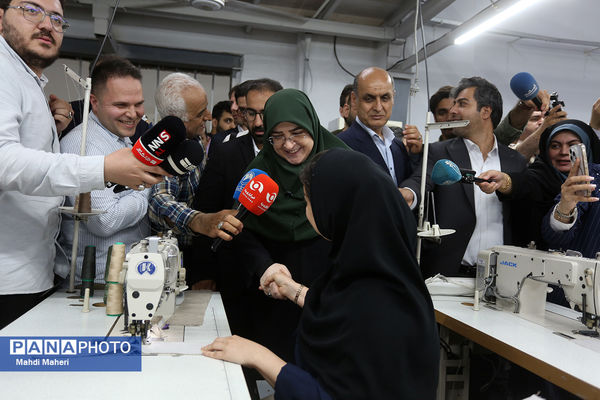 سفر سخنگوی دولت به منطقه ‌آزاد انزلی
