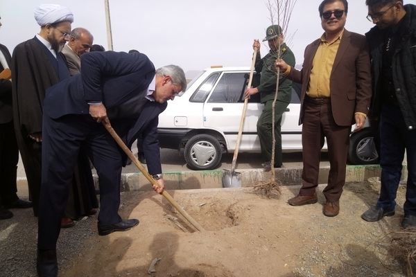 مراسم درخت کاری در مدرسه پویندگان فرهنگ شهرستان خلیل آباد 