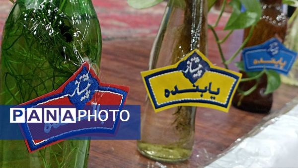 همایش تجلیل از مربیان و اعضای پیشتاز در محمودآباد 
