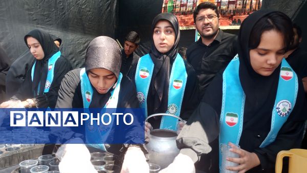 پیاده‌روی جاماندگان اربعین در شهرستان بیرجند