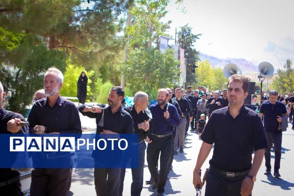 عزاداری رحلت پیامبر(ص) و شهادت امام حسن(ع) در صحن آستان مقدس سلطانعلی(ع) مشهداردهال کاشان