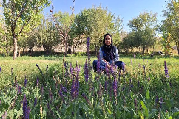 پاییز متفاوت در ایزدخواست؛ باغی که بهار را در خزان تجربه کرد