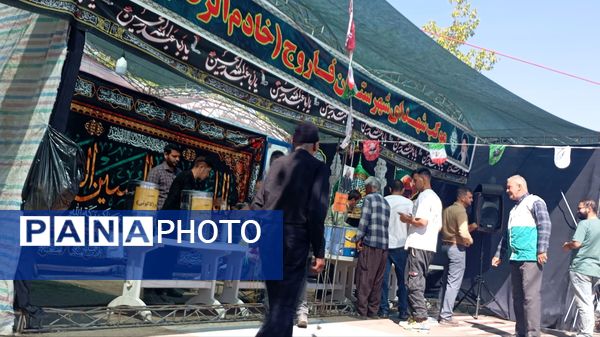 عاشقان امام رضا(ع) در راه مشهد مقدس