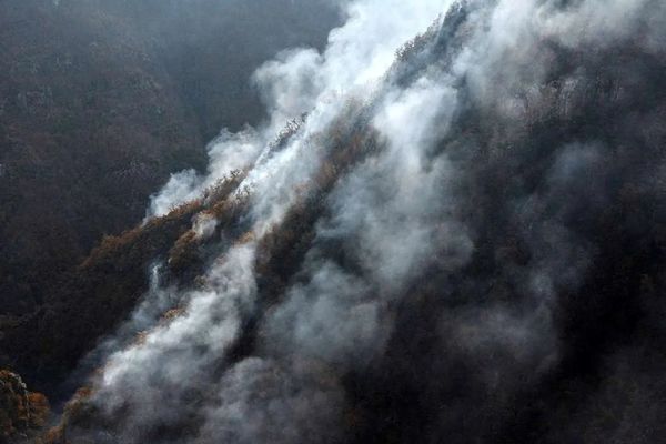 آتش‌سوزی جنگل‌های الیت مهار شد