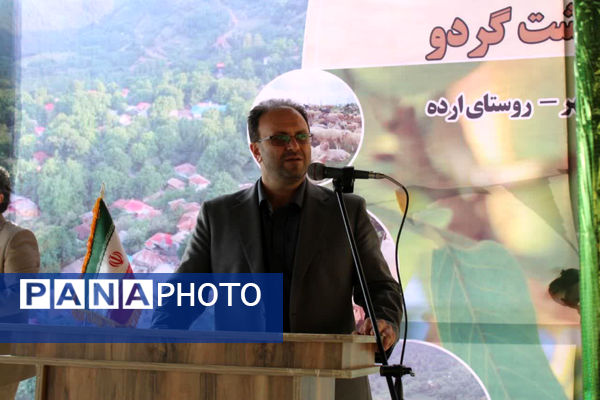 جشن شکر گزاری برداشت گردو 