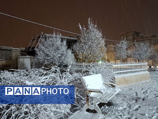 ورود باشکوه زمستان به نیشابور 