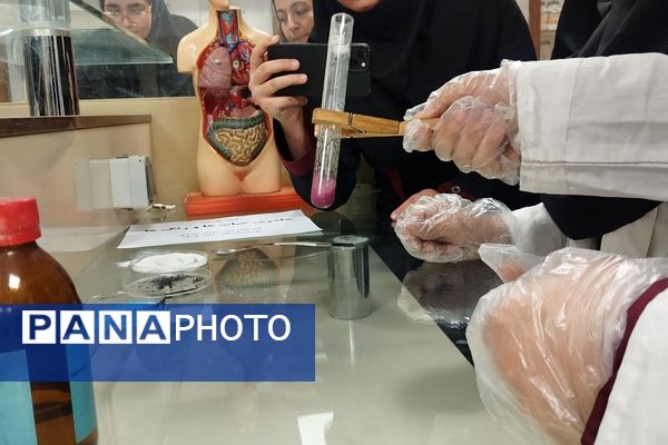 گرامیداشت روز آزمایشگاه در مدارس کهریزک 