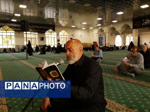 عطر ندبه در امام زاده سید حمزه (ع)  کاشمر پیچید