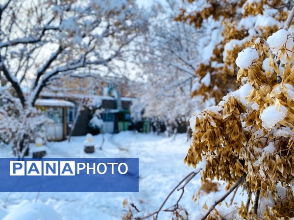 بارش برف جلوه ای از نعمت الهی در روزهای سفید باخرز