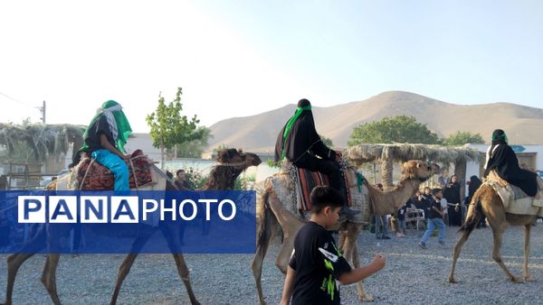 علم‌ گردانی آیین‌ هر ساله‌ شهر وردنجان