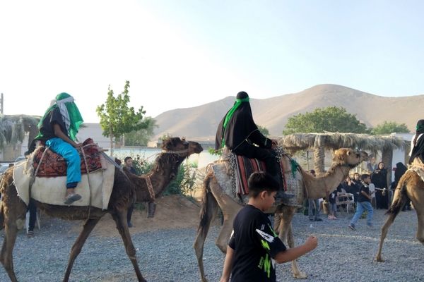 علم‌ گردانی آیین‌ هر ساله‌ شهر وردنجان