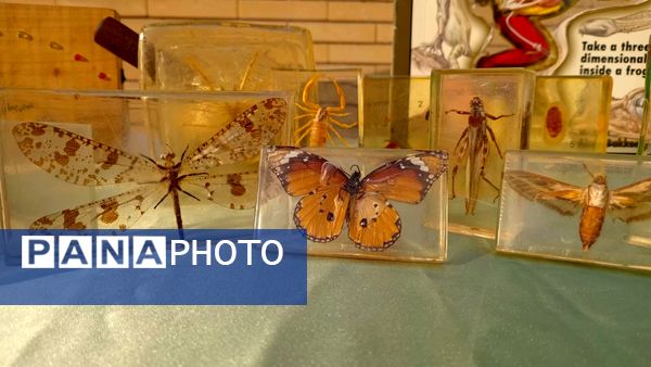 دختران شاهد قفلی خلاقیت خود را در نمایشگاه پژوهش به نمایش گذاشتند