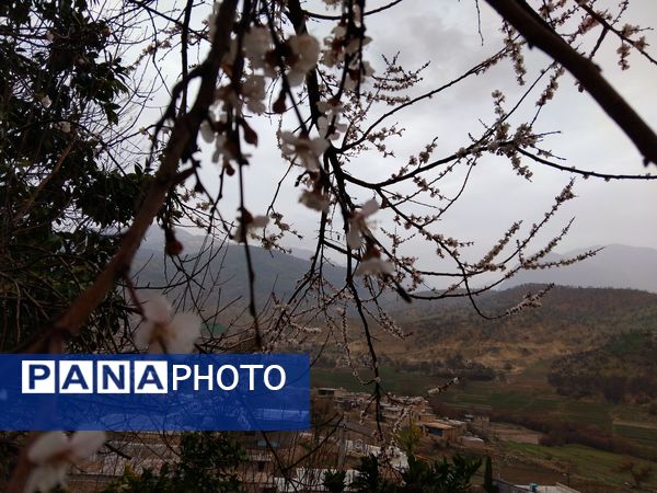  فصل بهار در میانکوه
