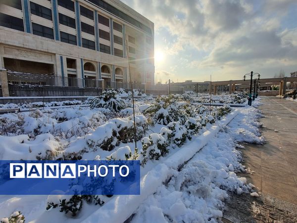 بارش برف شدید و سفید پوش شدن شهر زیبای مشهد 