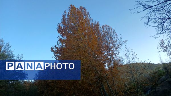 نگاهی کوتاه به طبیعت پاییزی امامزاده بابا پیر احمد (ع) شهرستان بن 
