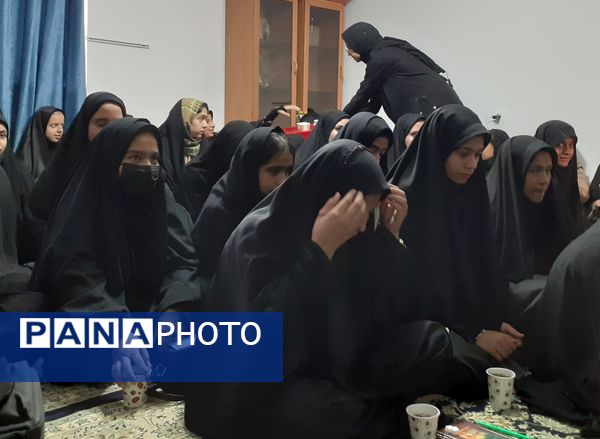 برگزاری هیات انصار المهدی به‌مناسبت شهادت حضرت فاطمه الزهرا(س)