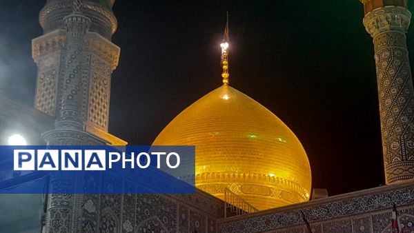حرم حضرت معصومه(س) در شب شهادت برادر