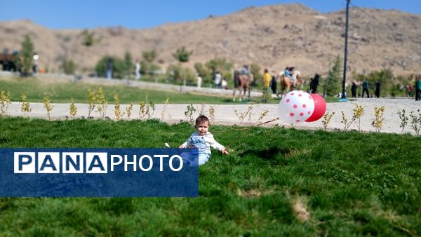 پرواز بادبادک‌ها