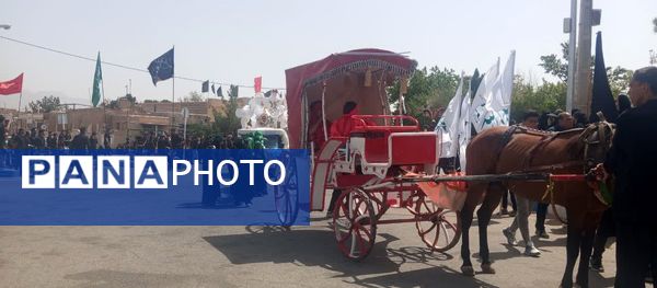 اجرای آیین کهن نخل‌گردانی و بیل‌زنی در روستای فدافن