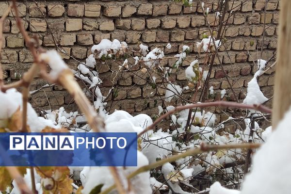 خراسان رضوی به استقبال زمستان رفت