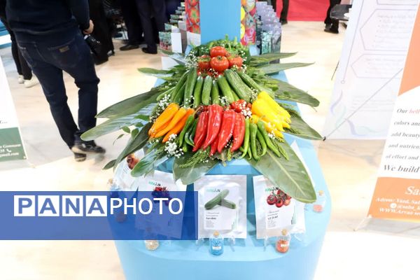 دوازدهمین نمایشگاه دستاوردهای پژوهش، فناوری و فن‌بازار در یزد آغاز به کار کرد