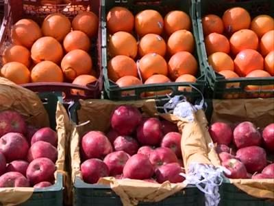 گشت‌های مشترک بازرسی از میوه فروشی‌های خرد پایتخت