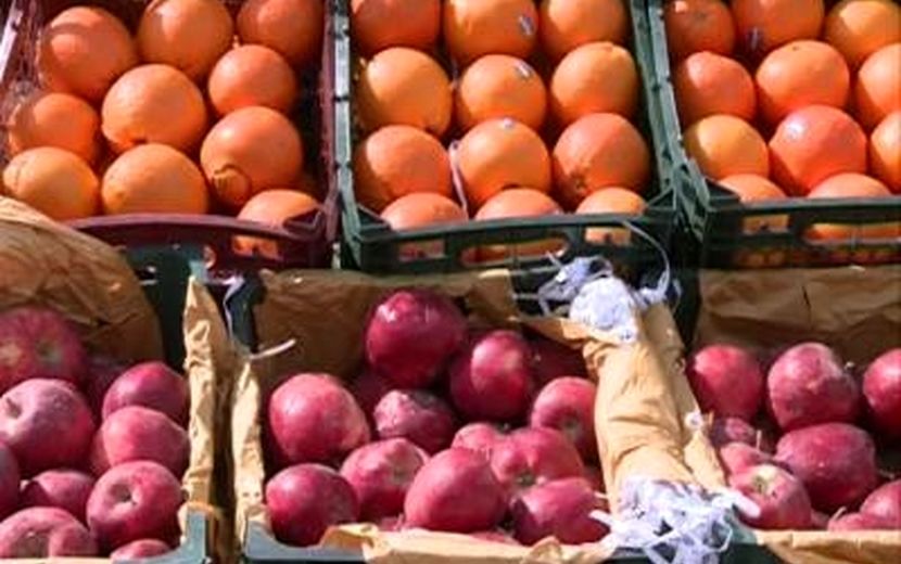 گشت‌های مشترک بازرسی از میوه فروشی‌های خرد پایتخت