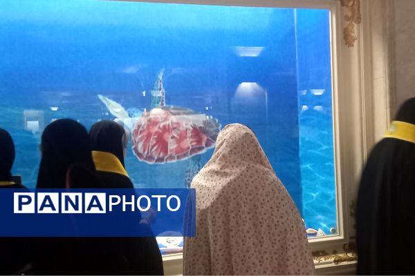بازدید دانش آموزان پیشتاز اعزامی به مشهد از موزه حرم مطهر رضوی 