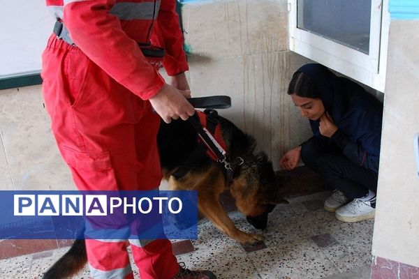 برگزاری کلاس آموزشی «طرح دادرس» در هنرستان کوثر ناحیه یک شهرری